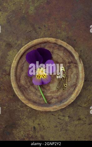 Wooden plate containing three Pansies or Viola tricolor and three used brass safety pins Stock Photo