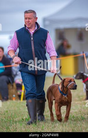 A man walking his dog on a lead in the show ring at a country dog