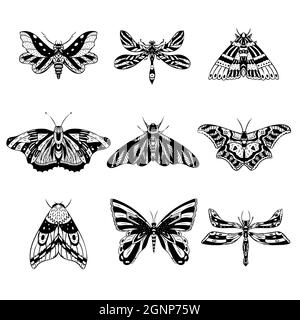 Set of hand drawn moths and butterflies in doodle style Stock Vector ...