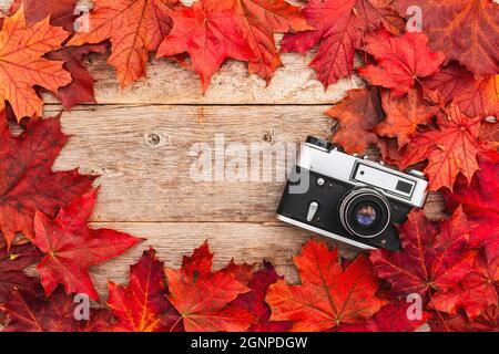 Old camera and red autumn leaves,top view Stock Photo