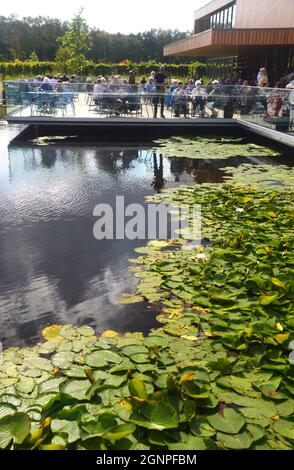 People in the Outdoor Seating Area of the Café by the Lake in the Welcome Building at RHS Garden Bridgewater, Worsley, Manchester, UK. Stock Photo