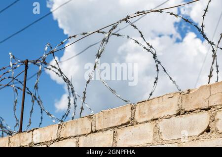 Barbed wire on the fence against a blue sky background. Prison wall Stock Photo