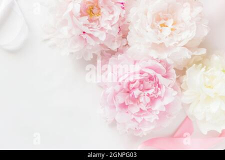 Pink peony background in pastel toned Stock Photo