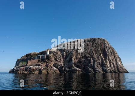 Bass Rock, Firth of Forth, Scotland, UK Stock Photo