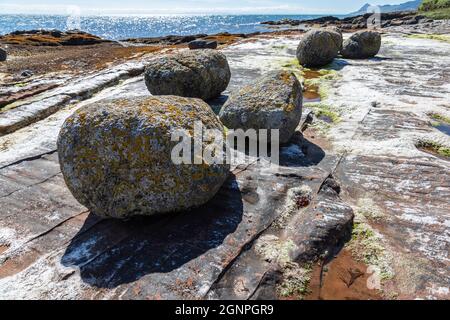 Foliose lichen covered glacial erratic granite boulders on sandstone bedrock, Pirate's Cove, Merkland Point, Isle of Arran, North Ayrshire, Scotland, Stock Photo