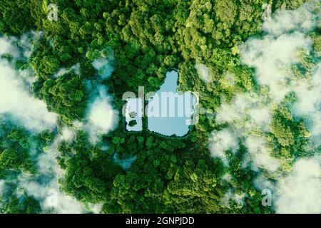 Thumbs up icon - like icon in the form of a clear pond in the middle of a lush virgin forest. 3d rendering.