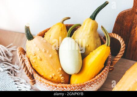 A bunch of fresh, colorful, orange, and yellow pumpkins in straw basket on kitchen table, towel and carving board. Hygge Autumn season indoor close up Stock Photo