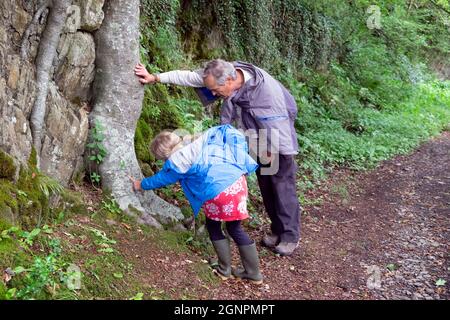 Grandfather man and granddaughter girl child looking at carved letters text on bark of old tree trunk in Dinefwr Park Llandeilo Wales UK  KATHY DEWITT Stock Photo