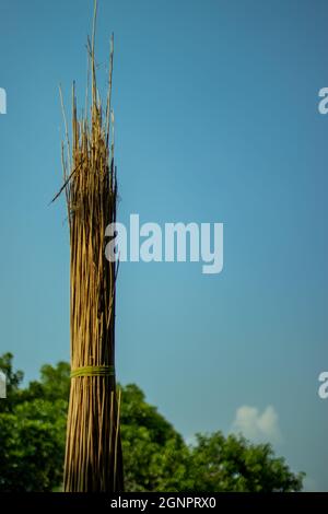 Jute Stick Charcoal Dust Powder, also commonly known as 'jute stick carbon  and Jute sticks are preferred over other raw materials like bamboo Stock  Photo - Alamy