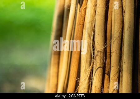 Jute Stick Charcoal Dust Powder, also commonly known as 'jute stick carbon  and Jute sticks are preferred over other raw materials like bamboo Stock  Photo - Alamy