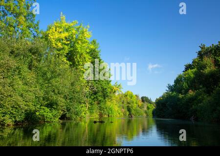 Luckiamute River, Luckiamute Landing State Park, Oregon Stock Photo