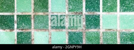 mold on joints between the ceramic tile in bathroom. old black toxic mildew dirt on the white seams of green mosaic tiles before cleaning. dirty mould Stock Photo