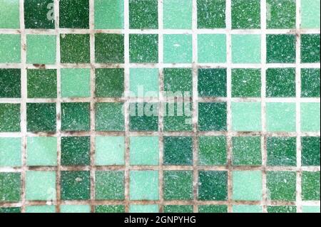 mold on joints between the ceramic tile in bathroom. old black toxic mildew dirt on the white seams of green mosaic tiles before cleaning. dirty mould Stock Photo
