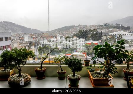 Banco Desarrollo microfinance institution. View from the head office in Quito, Ecuador Stock Photo