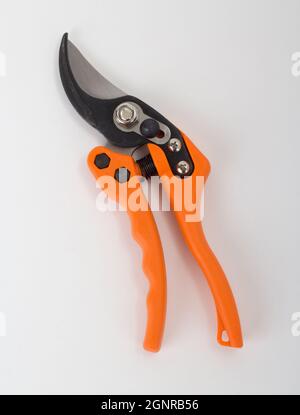 Orange garden secateurs isolated on white background Stock Photo