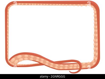 Octopus tentacle rectangular frame isolated on white background. Monster kraken arm. Cartoon vector illustration. Underwater animal feeler. Stock Vector
