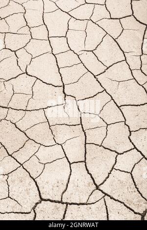 Close shot cracked dry earth. For climate change, drought in UK, parched earth, crop loss, European or US heatwave, hot summer season, aridification. Stock Photo