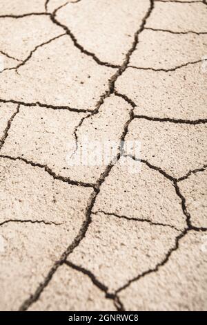 Close shot cracked dry earth. For climate change, drought in UK, parched earth, crop loss, European or US heatwave, hot summer season, aridification. Stock Photo