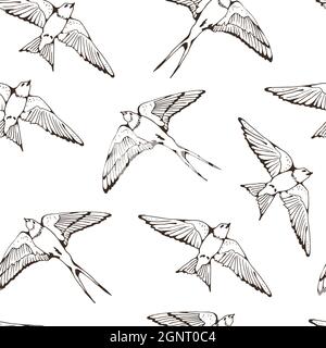 Swallow and House Martin birds vector pattern, hand drawn seamless background Stock Vector
