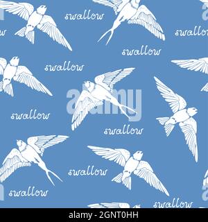 Swallow and House Martin birds vector pattern, hand drawn seamless background Stock Vector