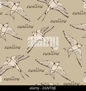 Swallow and House Martin birds vector pattern, hand drawn seamless background Stock Vector