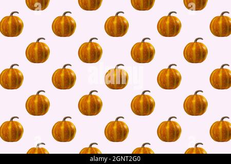 Pumpkins Seamless Pattern on Pink background, top view, Autumn Holiday Concept. Stock Photo