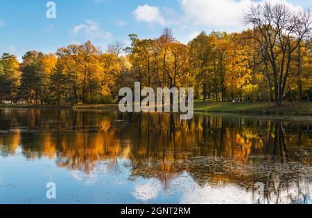 Catherine park in the autumn, Pushkin (Tsarskoye Selo), near St. Petersburg, Russia Stock Photo