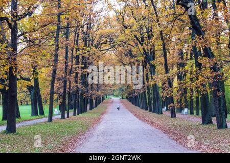 Catherine Park in autumn, Pushkin (Tsarskoye Selo), near St. Petersburg, Russia Stock Photo
