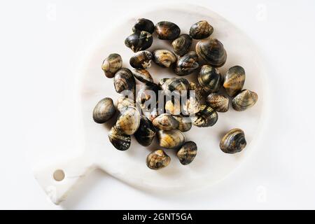 fresh clams on white marble cutting board Stock Photo
