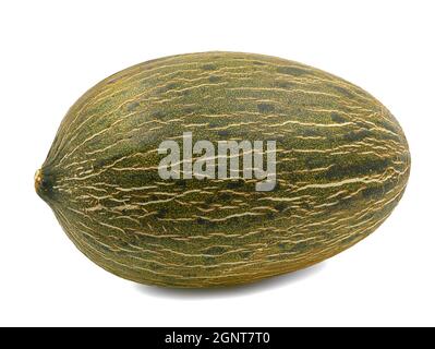 Whole single Piel de sapo melon isolated on white background Stock Photo
