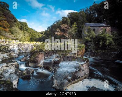 Cenarth Falls, River Teifi, West Wales Stock Photo