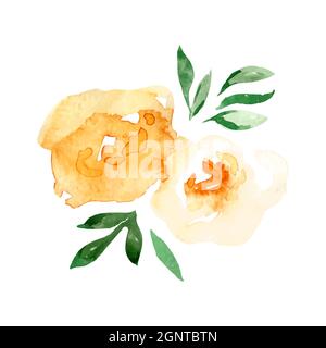 Set of vector illustrations of flowers of yellow roses with leaves. Stock Vector