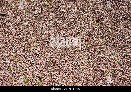 Gravel of different colors pattern background Stock Photo