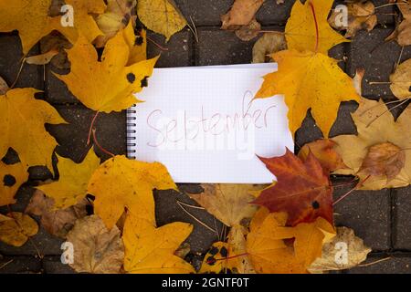 notepad with inscription september lies in autumn leaves on tile track top view Stock Photo