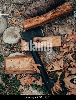 axe standing near campfire on the logs Stock Photo