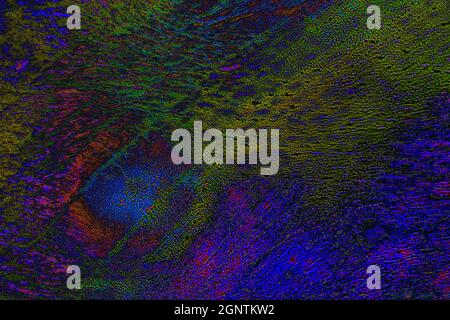 Abstract or sci-fi background or texture with psychedelic colors Stock Photo