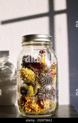 Colorful dry flowers in a mason jar. Stock Photo