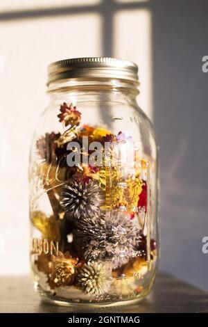 Colorful dry flowers in a mason jar. Stock Photo
