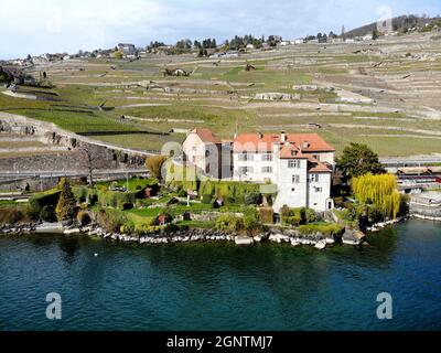 Rivaz VD, Lavaux, Lac Léman Stock Photo