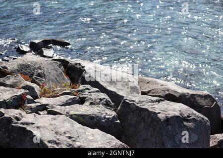 Sun sparkling on the water at Waldo Lake near Oakridge, Oregon, in the Cascade mountains. Stock Photo