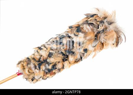 Traditional feather duster Stock Photo