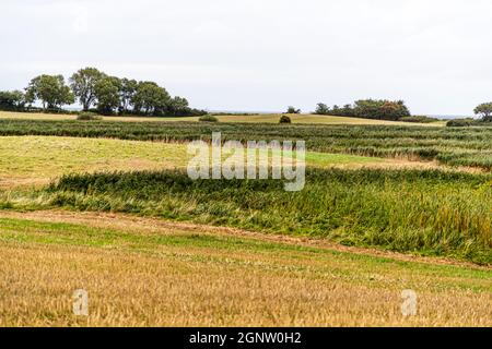 Landscape with barrows on Langeland, Denmark Stock Photo