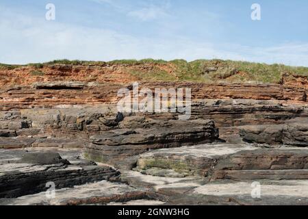 Bendrick Rocks Barry Wales Coastline UK, Welsh coast, sedimentary sandstone rock geology Stock Photo