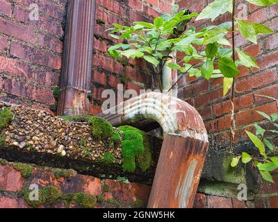 water down spout on abandoned building Stock Photo