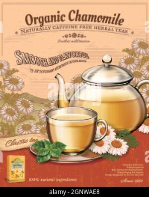 3d illustration organic chamomile tea ads on retro engraved style garden background Stock Vector