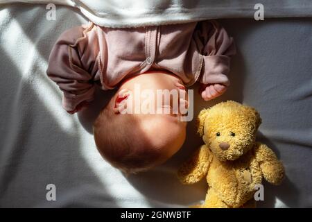 Newborn baby sleeping home with first toy.  Stock Photo