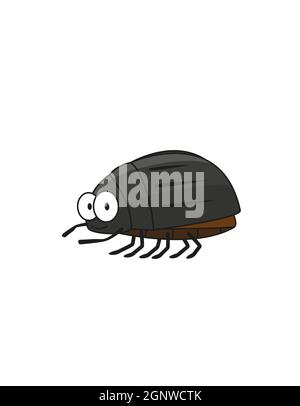 Fly (Bug) - Insects - Zerochan Anime Image Board