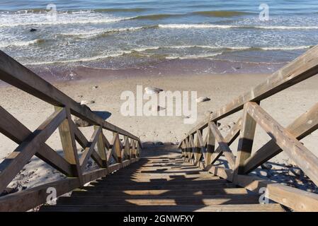 Flight of wooden steps leading down to a sandy beach with gentle surf breaking on the shoreline in a summer vacation concept Stock Photo