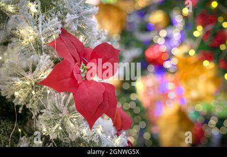 Red flower decoration on christmas tree with colorful light bokeh at the background. Festive or holiday concept. Stock Photo