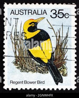 AUSTRALIA - CIRCA 1980: a stamp printed in the Australia shows Regent Bower Bird, Sericulus Chrysocephalus, Bird, circa 1980 Stock Photo